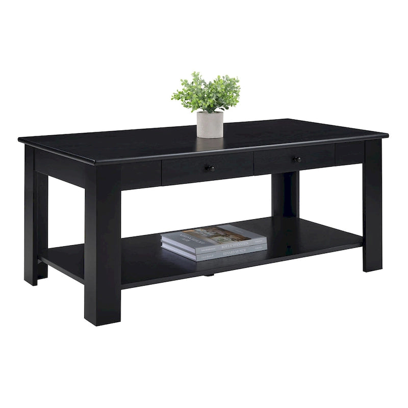 Table basse avec étagère